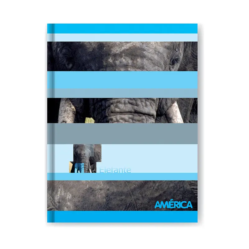 Cuaderno América tapa cartón, 16x21cm. 42 hojas cuadriculadas