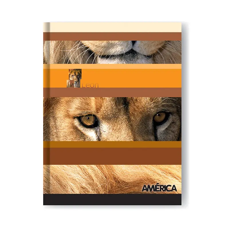 Cuaderno América tapa Cartón, 16 x 21cm. 42 hojas rayadas