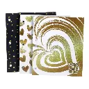 Carpeta N°3 dos tapas Rexon Born to Shine 2