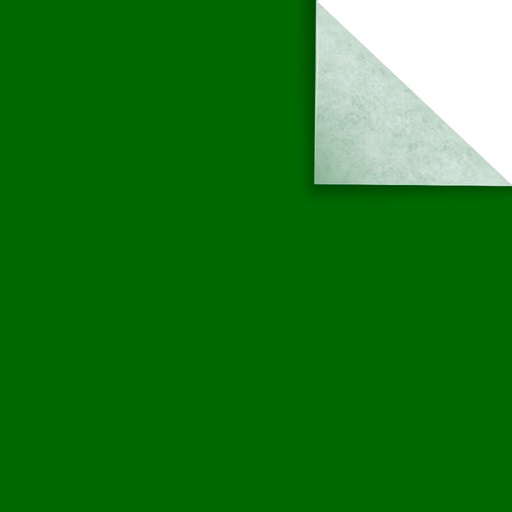 [PAPAFICHEVER] Papel Afiche verde, pack de 20 unidades